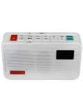 карманный MP3 радиоприемник с рекордером Tecsun ICR-100 white