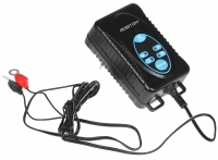 зарядное устройство Robiton MotorCharger 612