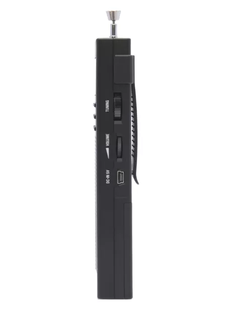 Портативный радиоприемник Tecsun PL-360 (export version) black