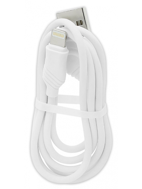 зарядное устройство Hoco C12 Smart dual USB charger 2.4A + Lightning cable white