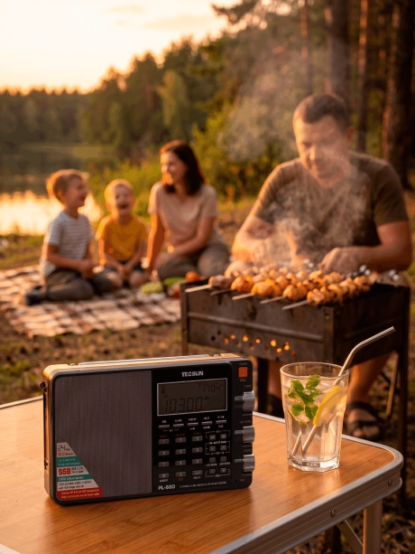 всеволновый цифровой радиоприемник Tecsun PL-880 (export version) black
