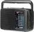 Всеволновый переносной радиоприемник Tecsun R-303 black
