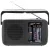 Всеволновый переносной радиоприемник Tecsun R-303 black