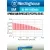 аккумулятор Westinghouse 1000 mAh  R03/AAA  Max-BP4 