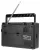 Переносной радиоприемник с MP3 плеером Retekess TR629 