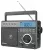 Переносной радиоприемник с MP3 плеером Retekess TR629 